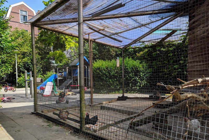 De Mooiste Geheimen van het Populaire Gokspel Chicken Road Ontdekken, chicken road game